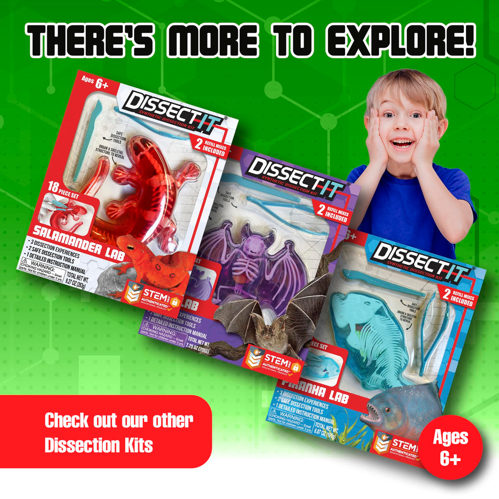 Dissect It Synthetic Frog Dissection Kit for Kids - STEM Anatomy Learning Toy Ages 6+