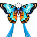 Doinfly Butterfly Kite for Kids – Easy to Fly with 328 ft Line & Winder, 55 inch, Polyester