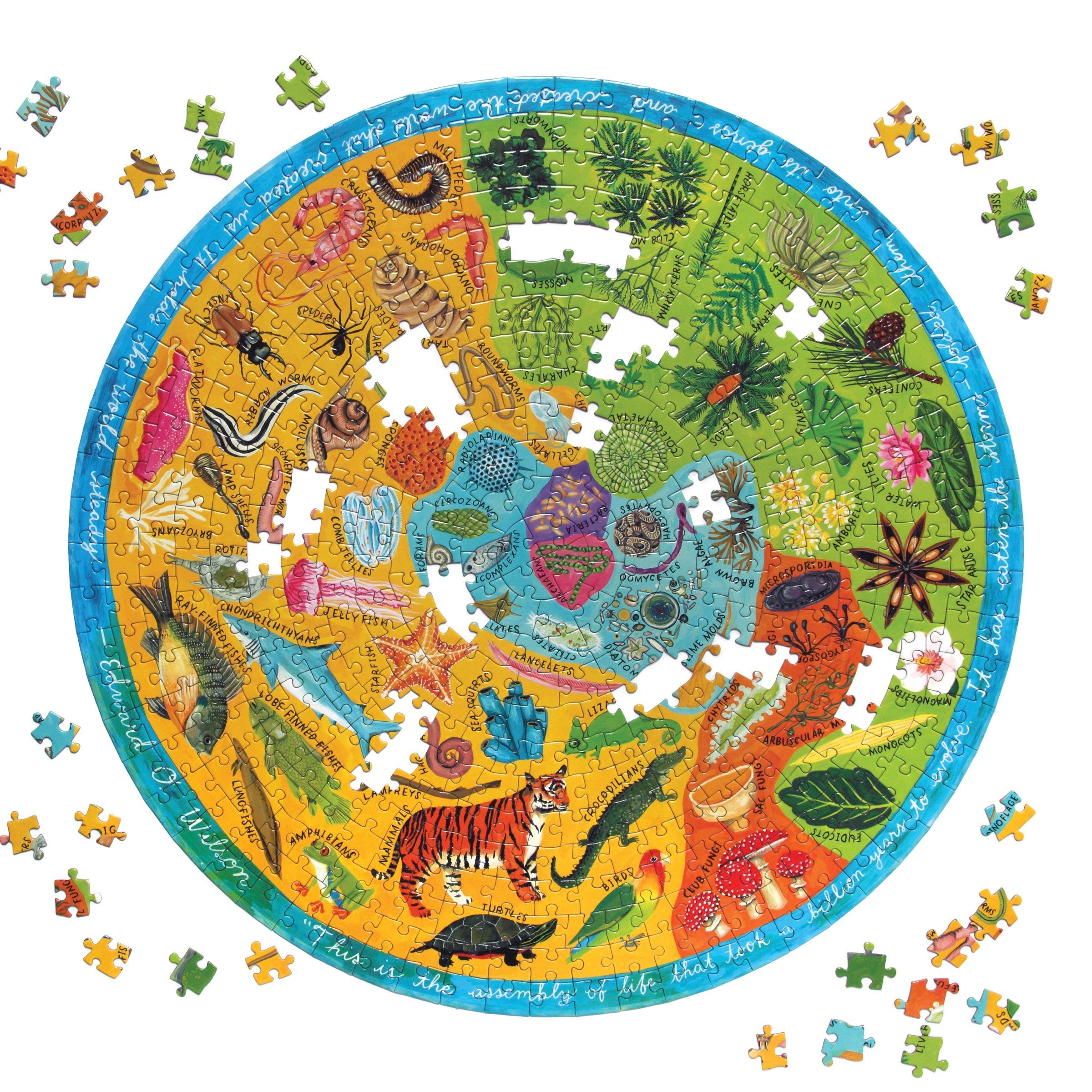 eeBoo Biodiversity 500 Piece Round Jigsaw Puzzle – 23" Diameter, Recycled Board, Vegetable-Based Ink