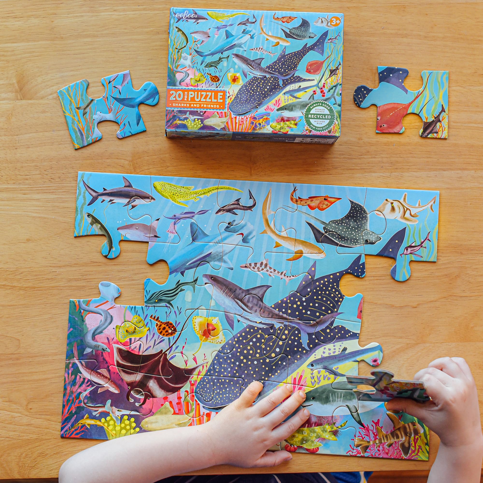 eeBoo Sharks & Friends 20-Piece Puzzle – Large Ocean-Themed Jigsaw for Ages 3+