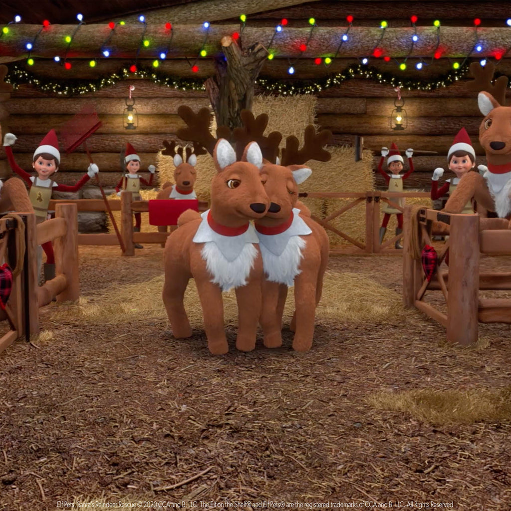 Elf Pets: Santa's Reindeer Rescue DVD – Animated Christmas Special with Sing-Along and Bonus Features