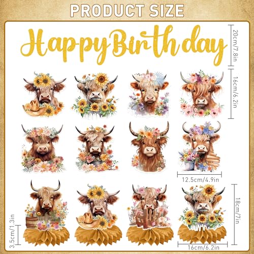 EoBeCy 19-Piece Highland Cow Birthday Party Decorations Set - Banner, Swirls, Honeycomb Centerpieces