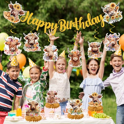 EoBeCy 19-Piece Highland Cow Birthday Party Decorations Set - Banner, Swirls, Honeycomb Centerpieces
