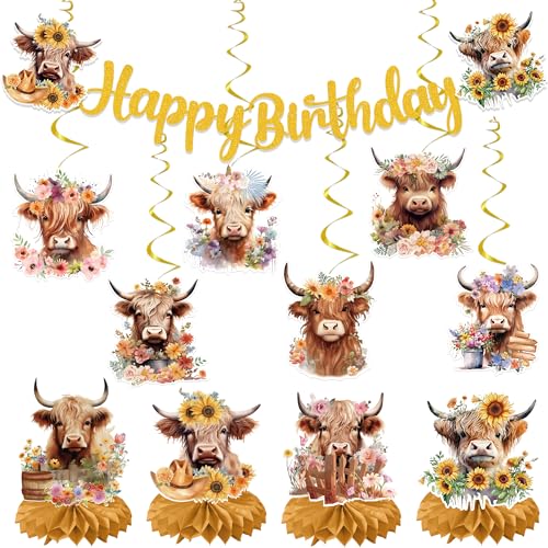 EoBeCy 19-Piece Highland Cow Birthday Party Decorations Set - Banner, Swirls, Honeycomb Centerpieces