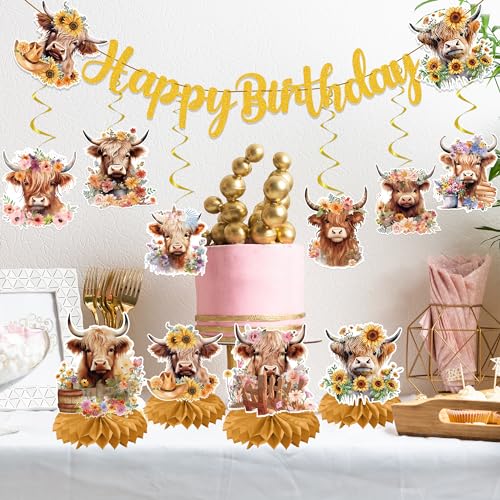 EoBeCy 19-Piece Highland Cow Birthday Party Decorations Set - Banner, Swirls, Honeycomb Centerpieces