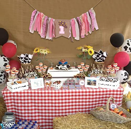 EPSEED Cowgirl 1st Birthday High Chair Banner – 80-Inch Pink Rodeo Party Decor with Fabric Strips