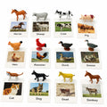 Esoes Montessori Farm Animal Matching Game – 12 Realistic Figurines with Flash Cards for Toddlers