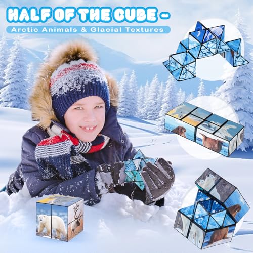 Euclidean Cube 2-in-1 Polar Animals Magic Cube Set – Fidget Toy & Yoshimoto Cube for Kids & Adults (Polar Series)