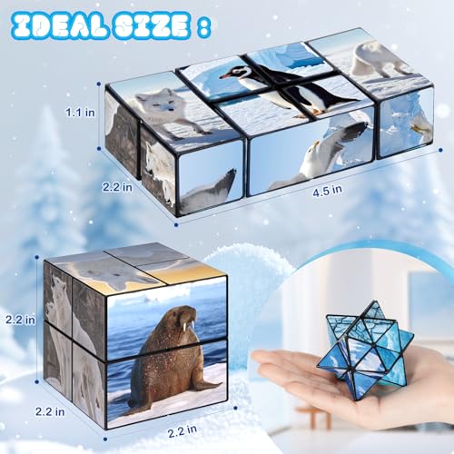 Euclidean Cube 2-in-1 Polar Animals Magic Cube Set – Fidget Toy & Yoshimoto Cube for Kids & Adults (Polar Series)