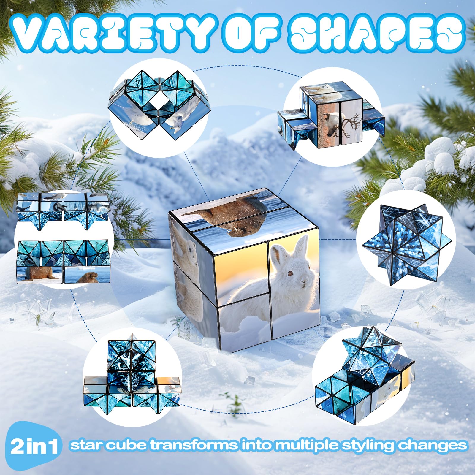Euclidean Cube 2-in-1 Polar Animals Magic Cube Set – Fidget Toy & Yoshimoto Cube for Kids & Adults (Polar Series)