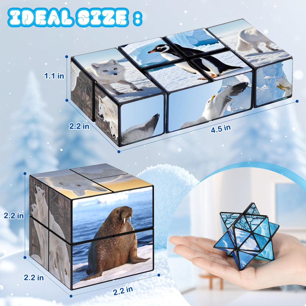 Euclidean Cube 2-in-1 Polar Animals Magic Cube Set – Fidget Toy & Yoshimoto Cube for Kids & Adults (Polar Series)