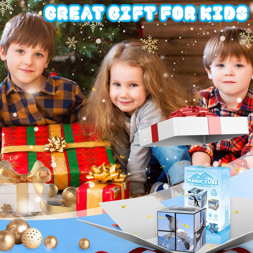 Euclidean Cube 2-in-1 Polar Animals Magic Cube Set – Fidget Toy & Yoshimoto Cube for Kids & Adults (Polar Series)