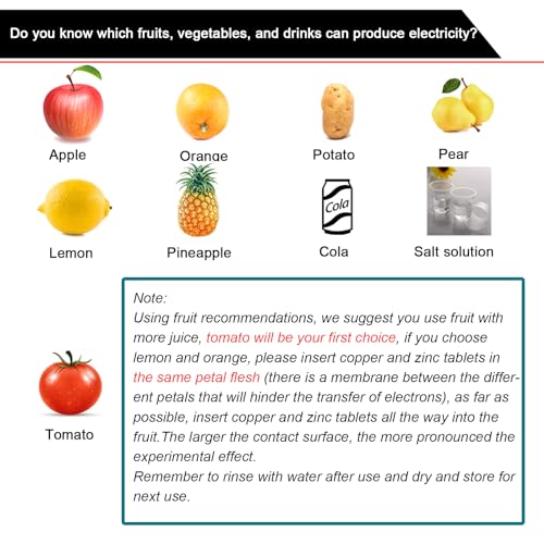EUDAX Fruit Battery Science Experiment Kit – 4 Sets for DIY School Projects and Home Teaching