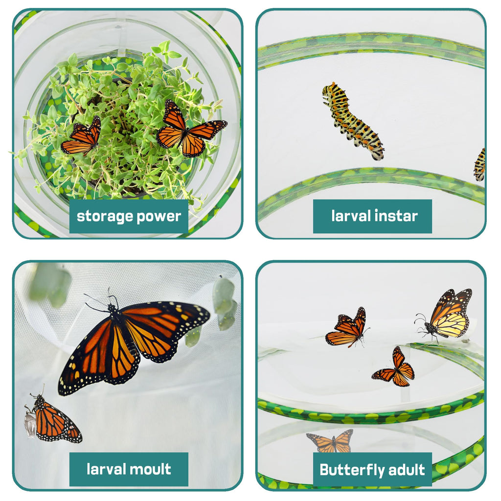 FCIHROSITCE Butterfly Habitat Mesh Cage – 12" x 14" Pop-up Insect Net for Raising Butterflies