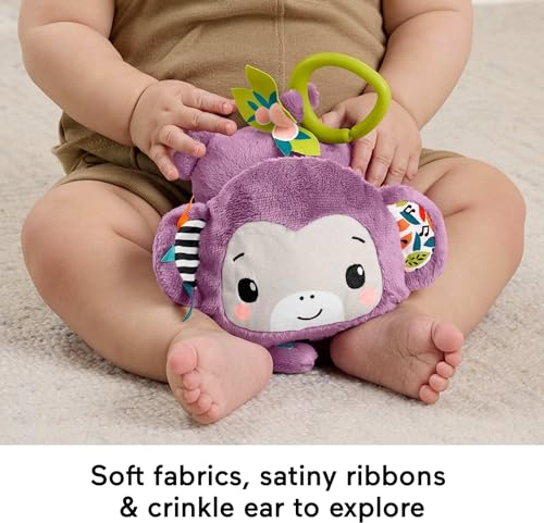 Fisher-Price Sing & Go Purple Monkey Stroller Toy with Crinkle & Clackers for Newborns