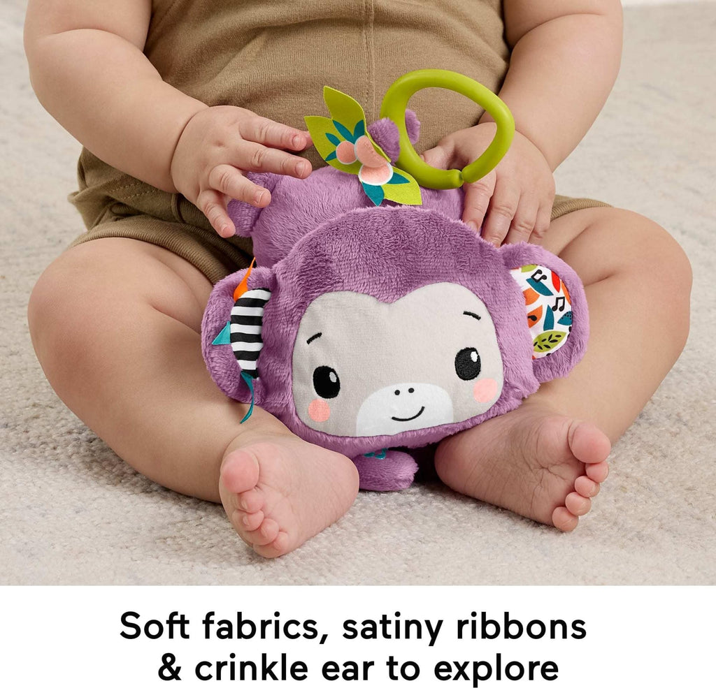 Fisher-Price Sing & Go Purple Monkey Stroller Toy with Crinkle & Clackers for Newborns