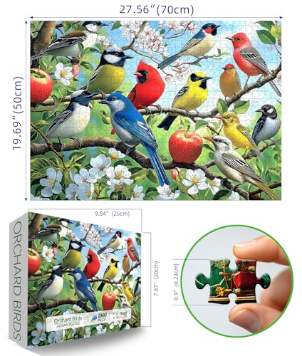 Flowers Birds 1000 Piece Puzzle for Adults – Hummingbird Jigsaw with Poster and Sorting Letters