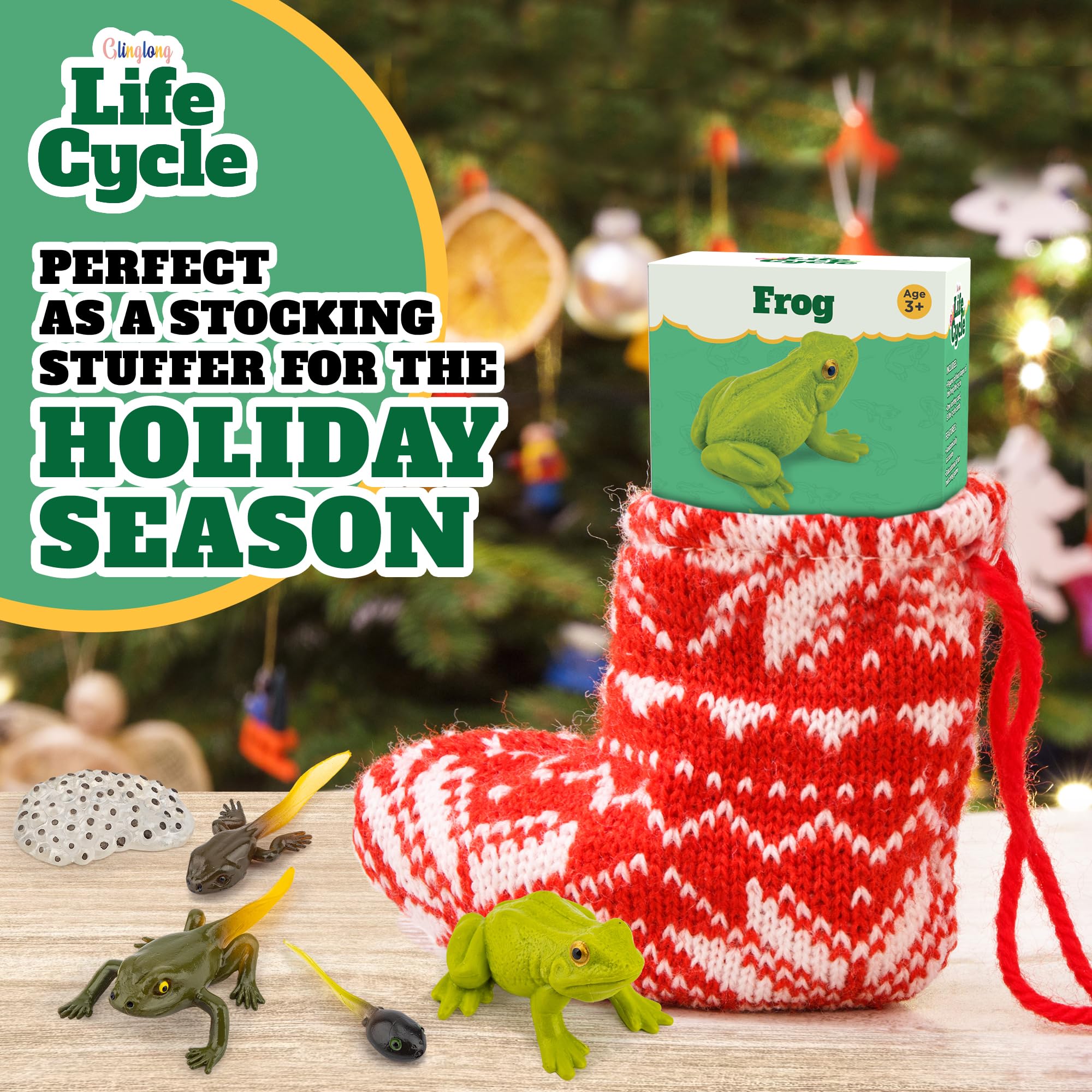 Frog Life Cycle Kit with Matching Cards – Montessori Animal Figurines for Ages 3-10