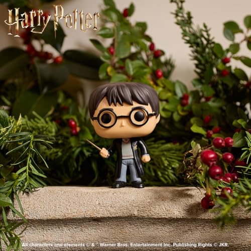 Funko Pop! Harry Potter - 3.75-Inch Vinyl Figure for Collectors
