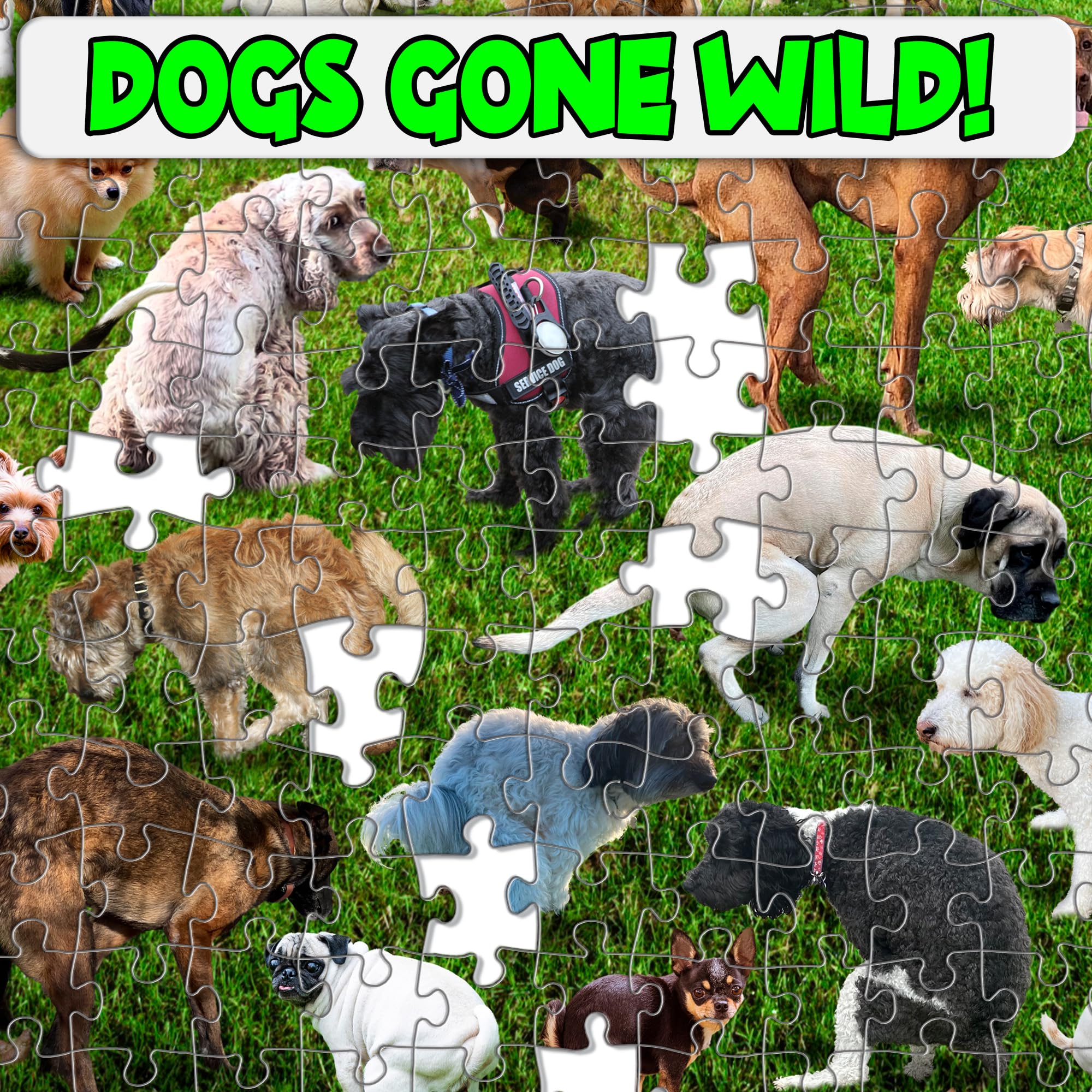 Funwares Original 101 Puppies Jigsaw Puzzle – 500 Piece Funny Dog Puzzle for Adults