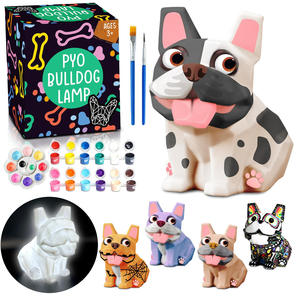 FUNZBO French Bulldog Paintable Night Light - DIY Art Craft Kit for Kids Ages 8-13