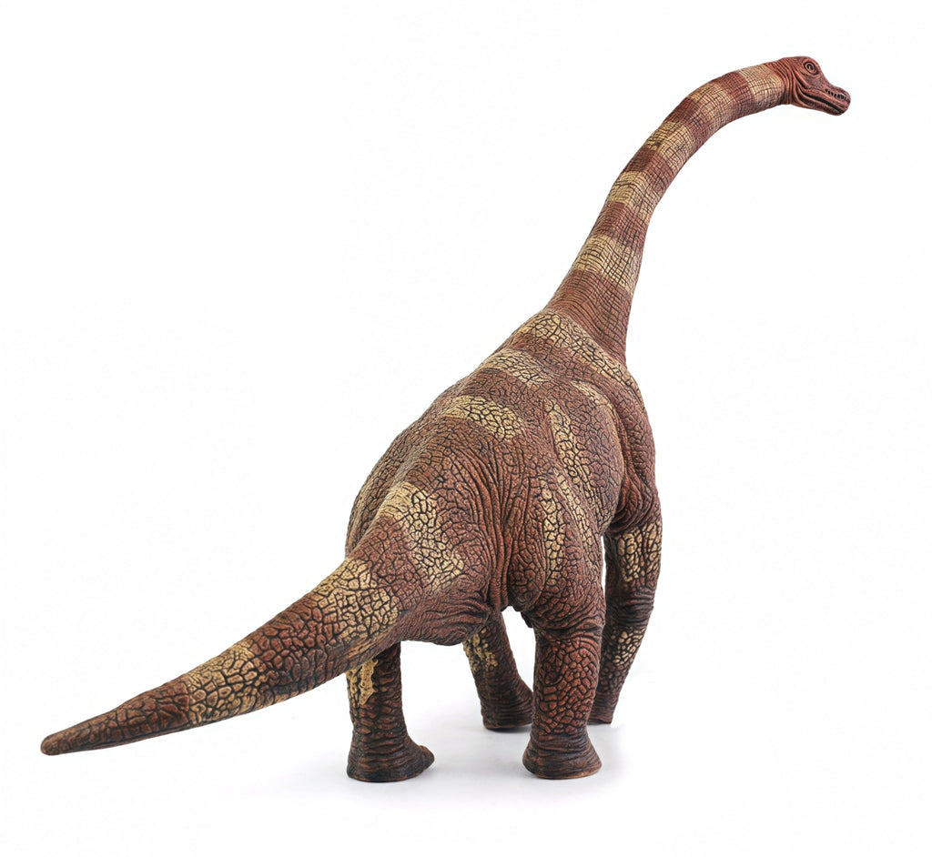 Gemini&Genius Brachiosaurus Dinosaur Toy - 13.4 Inch Realistic Long Neck Figure for Kids Ages 3+