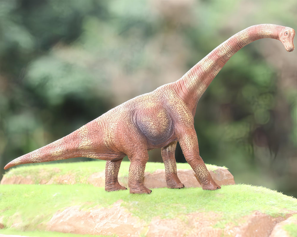 Gemini&Genius Brachiosaurus Dinosaur Toy - 13.4 Inch Realistic Long Neck Figure for Kids Ages 3+
