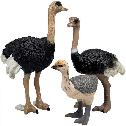 Gemini&Genius Ostrich Action Figure Set – Educational Jungle Animal Toys, Cake Toppers, Party Favors for Kids Ages 3+