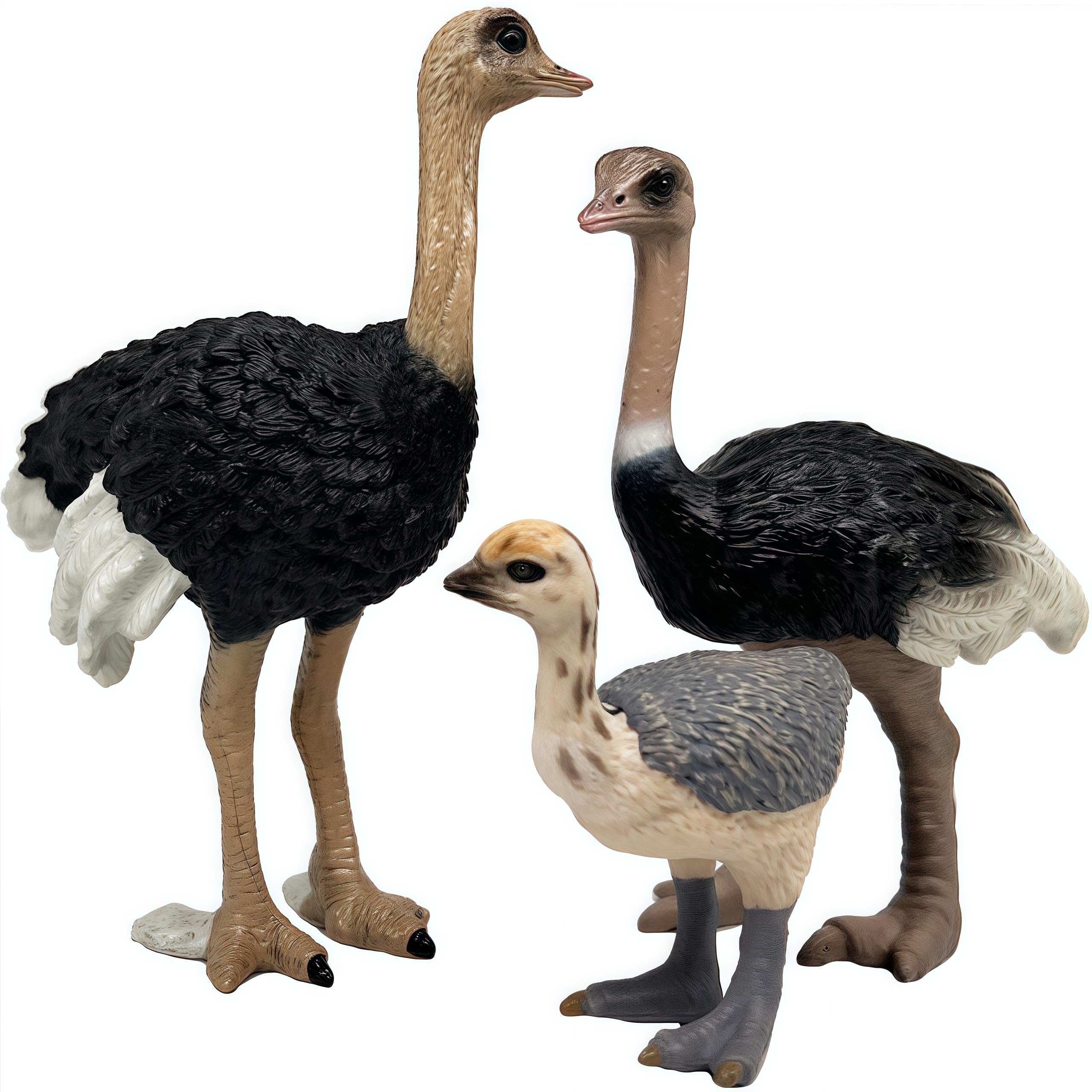Gemini&Genius Ostrich Action Figure Set – Educational Jungle Animal Toys, Cake Toppers, Party Favors for Kids Ages 3+