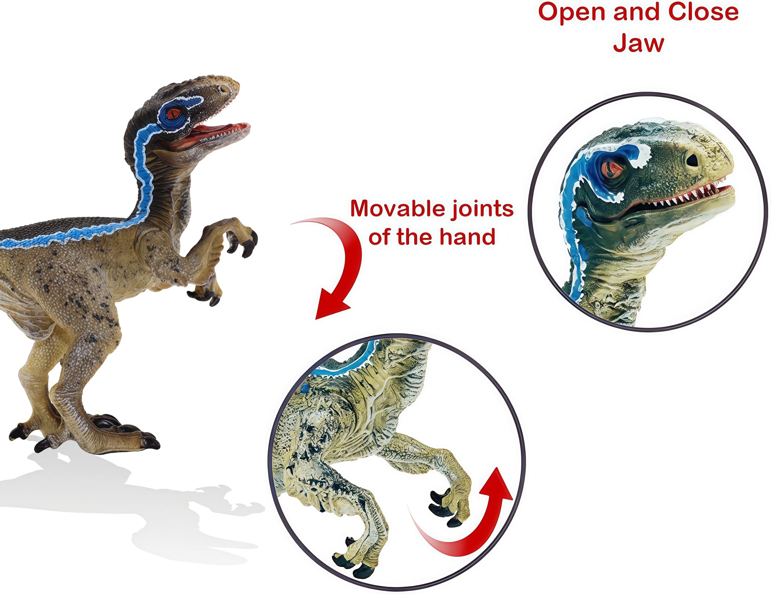 Gemini&Genius Velociraptor Dinosaur Toy – Realistic Hand-Painted Raptor with Moveable Jaw, Safe ABS Plastic for Kids