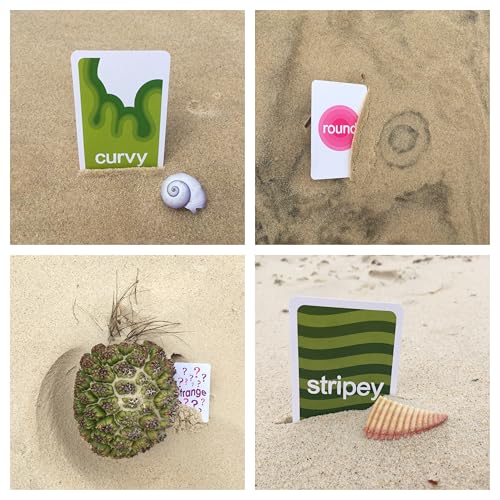 gofindit Scavenger Hunt Card Game – Outdoor & Travel Activity for Kids Ages 3+