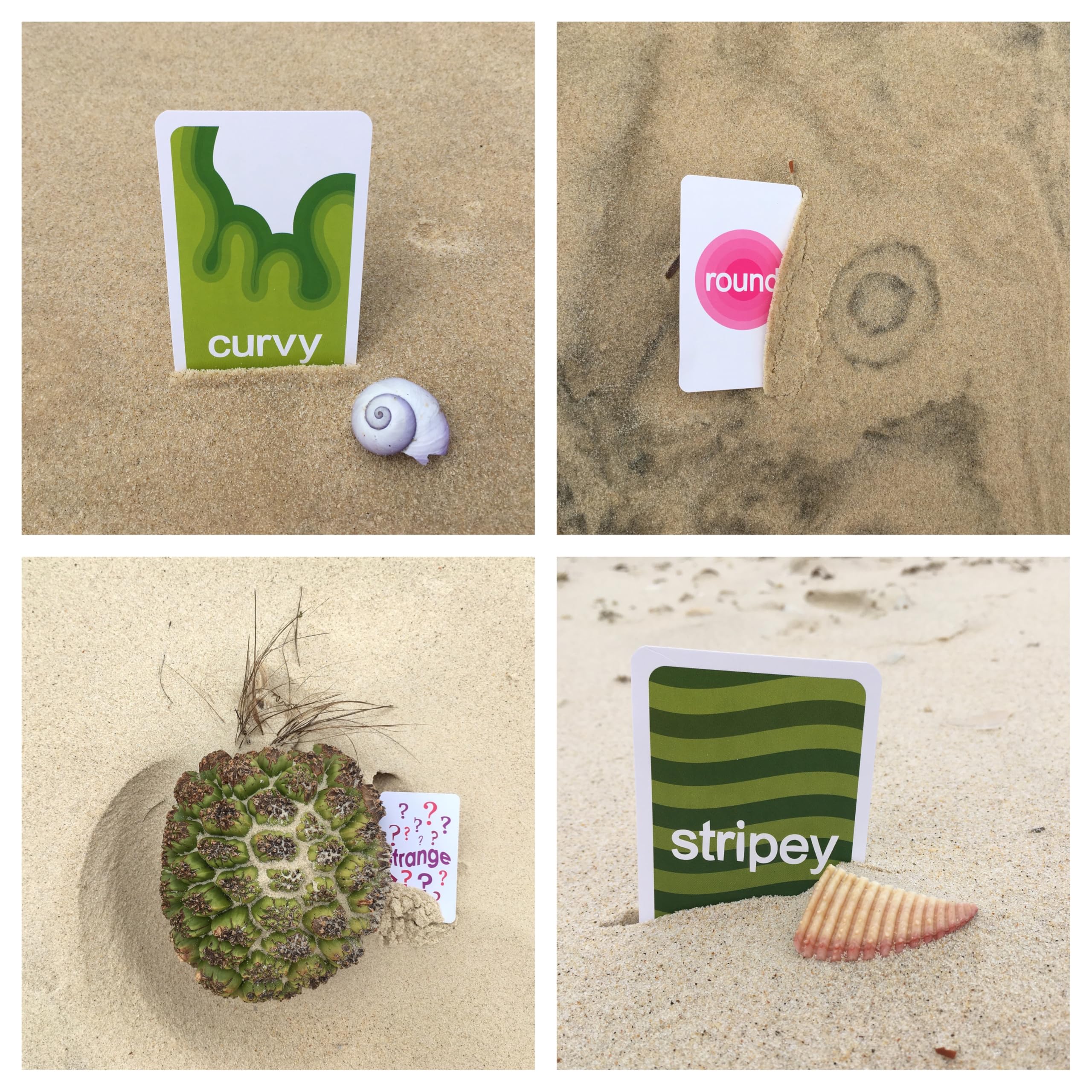 gofindit Scavenger Hunt Card Game – Outdoor & Travel Activity for Kids Ages 3+