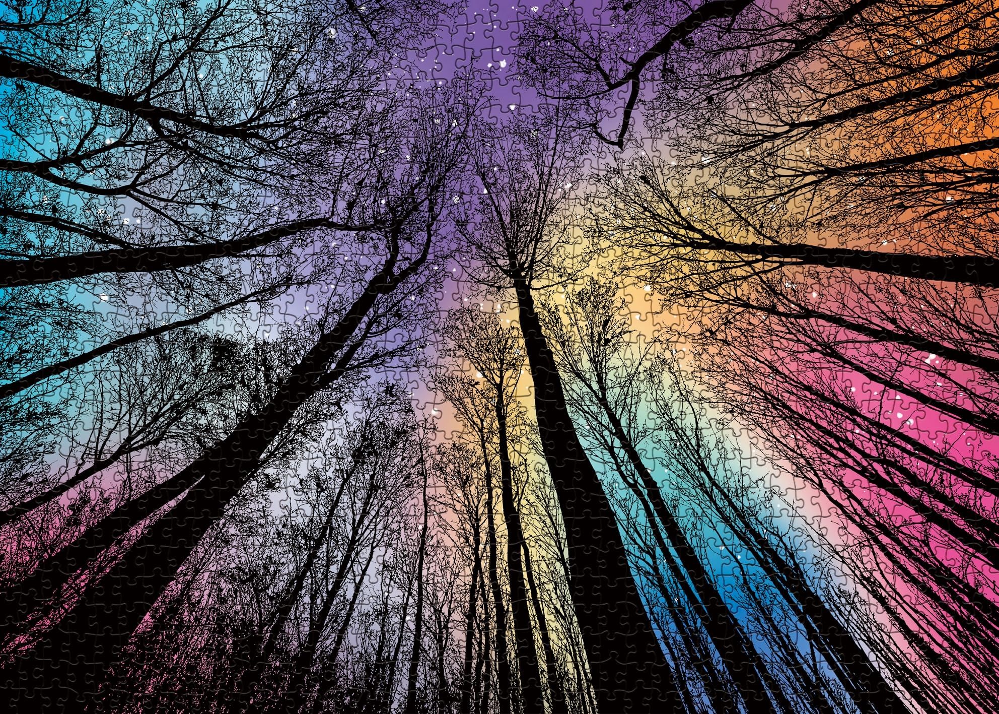 Hard 1000 Piece Gradient Jigsaw Puzzle – Challenging Colorful Puzzle for Adults