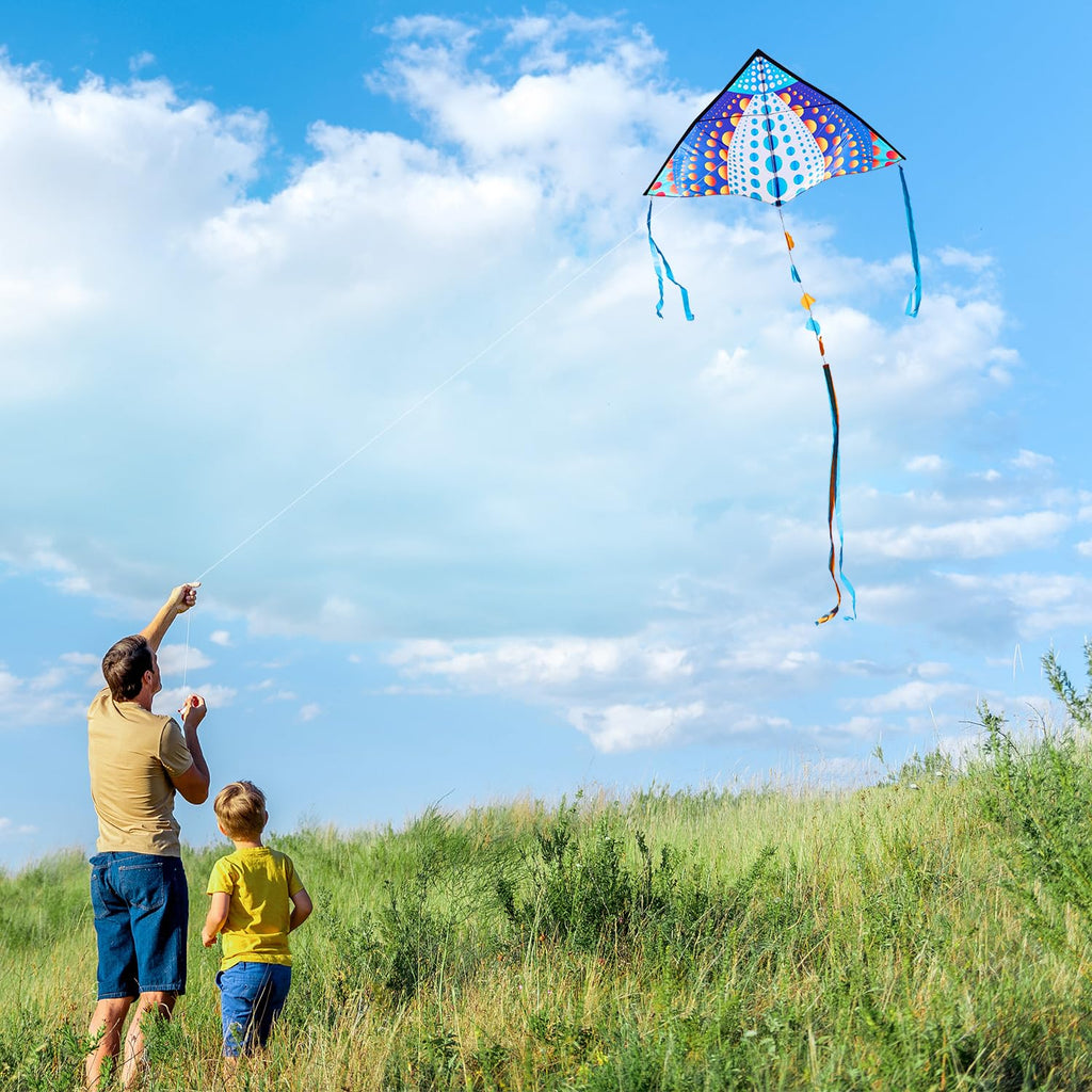 HONBO Large Delta Kite 53.5x30.3 Inches – Easy to Fly with Colorful Tails, Includes Line and Handle