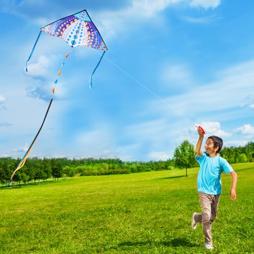 HONBO Large Delta Kite 53.5x30.3 Inches – Easy to Fly with Colorful Tails, Includes Line and Handle