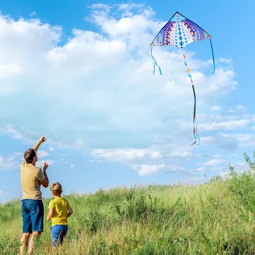 HONBO Large Delta Kite 53.5x30.3 Inches – Easy to Fly with Colorful Tails, Includes Line and Handle