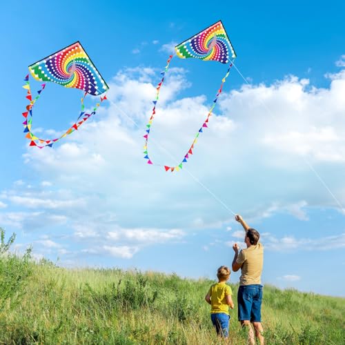 Honbo Lollipop Delta Kite - Large 53.5x30.3 Inch Easy to Fly Kite for Kids and Adults, Includes 200ft Line and Storage Bag