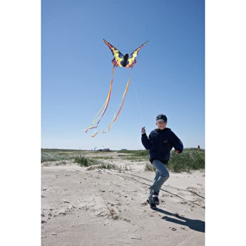 HQ Kites R Butterfly Kite - 20 Inch Single Line Beginner Kite with Tail