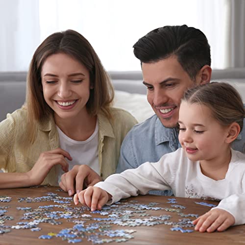 HUADADA 1000-Piece Jigsaw Puzzle for Adults – Precision Cut, ABC Labeling, 27.5x19.6 Inches with Poster