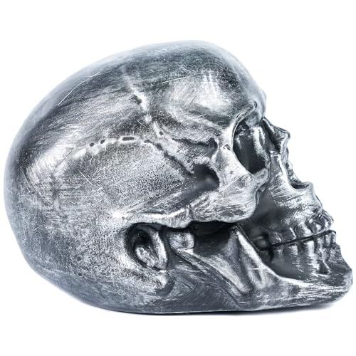 H&W Skull Money Bank – Realistic Silvery Skeleton Coin Bank for Halloween & Gothic Decor