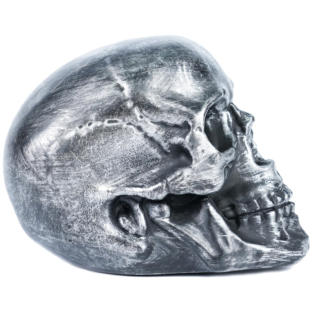 H&W Skull Money Bank – Realistic Silvery Skeleton Coin Bank for Halloween & Gothic Decor