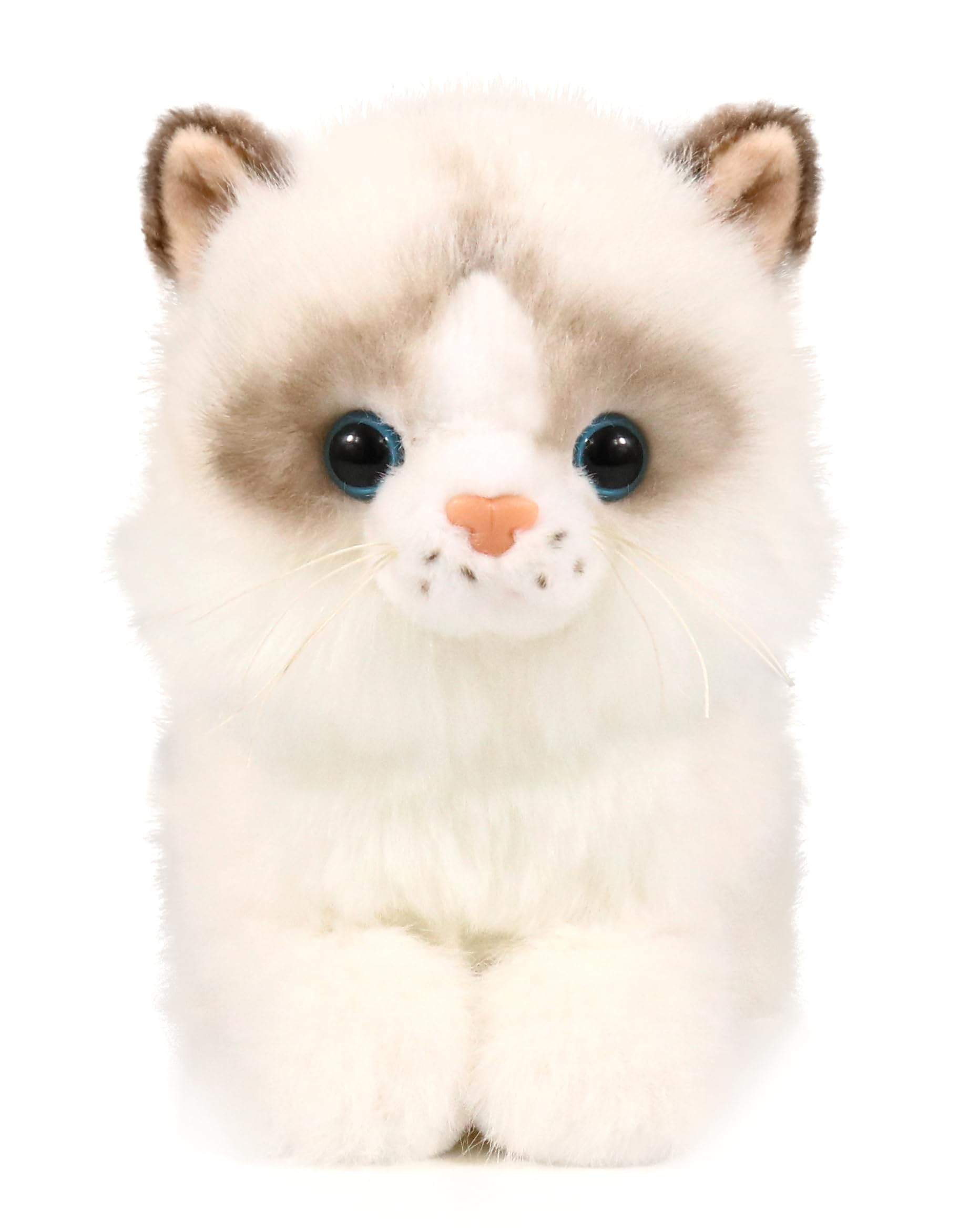Ice King Bear 8-Inch Realistic Ragdoll Kitten Plush Toy – Lying Pose Soft Stuffed Cat for Kids and Cat Lovers