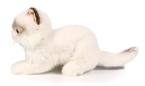 Ice King Bear 8-Inch Realistic Ragdoll Kitten Plush Toy – Lying Pose Soft Stuffed Cat for Kids and Cat Lovers