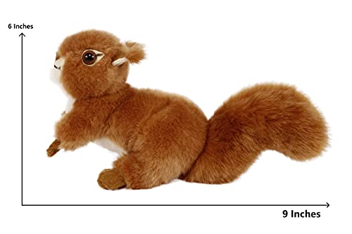 Ice King Bear Realistic Red Squirrel Plush – 6-Inch Lifelike Stuffed Animal