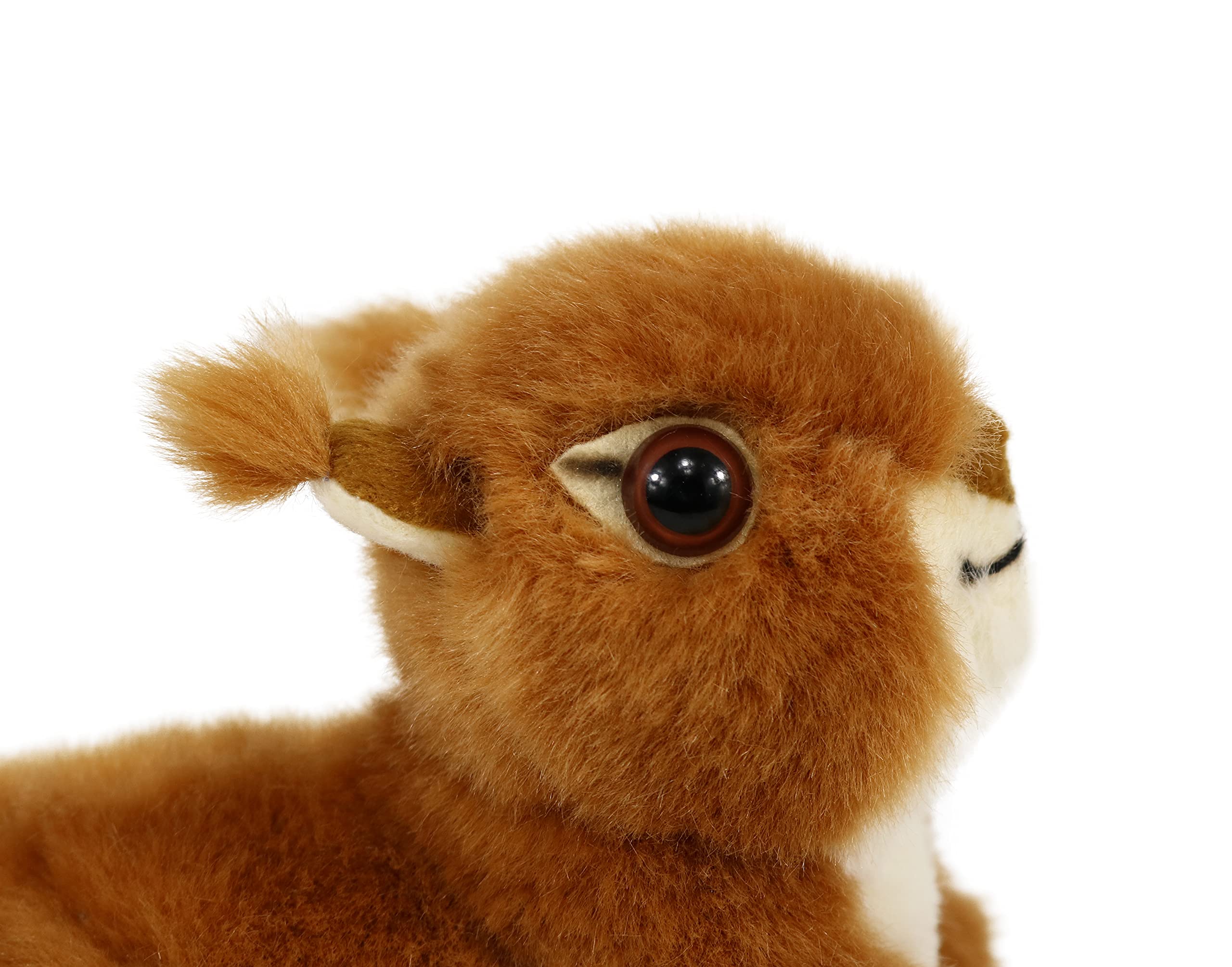 Ice King Bear Realistic Red Squirrel Plush – 6-Inch Lifelike Stuffed Animal