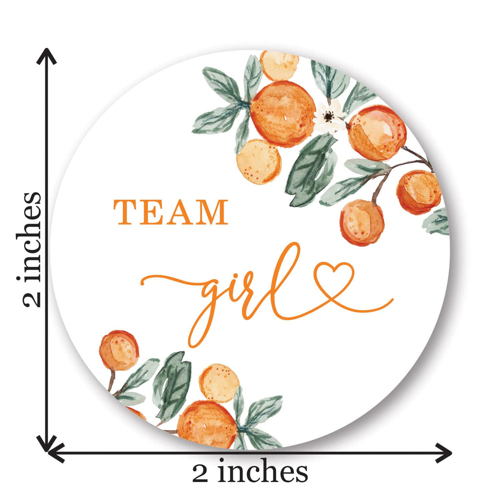 InvitationHouse Little Cutie Green Gender Reveal Stickers - 40 Labels (20 of Each Design)