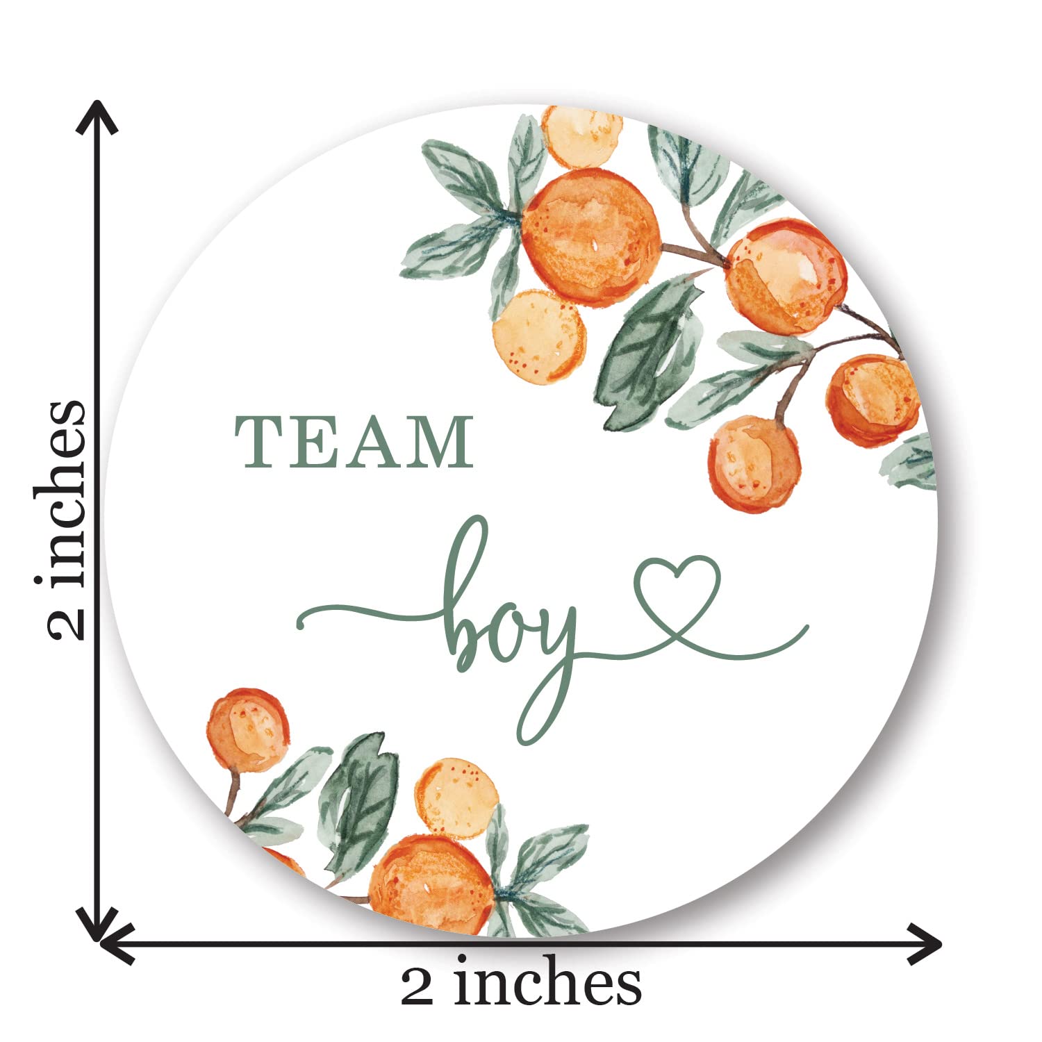 InvitationHouse Little Cutie Green Gender Reveal Stickers - 40 Labels (20 of Each Design)