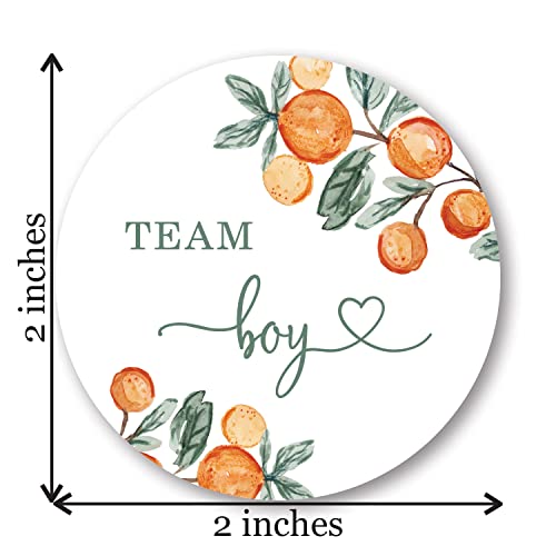 InvitationHouse Little Cutie Green Gender Reveal Stickers - 40 Labels (20 of Each Design)