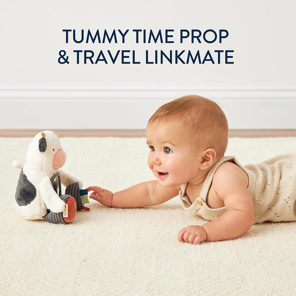 Itzy Ritzy Cow Tummy Time Mirror with Crinkle & Jingle Sounds for Sensory Play
