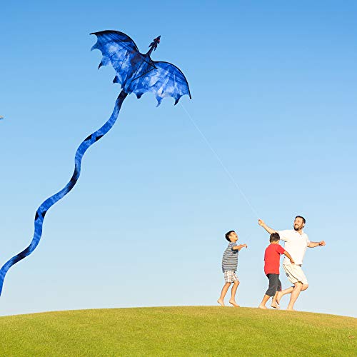 JEKOSEN Ice Dragon Kite - 54" Huge Single Line with 161" Tail, Easy to Fly for Kids and Adults